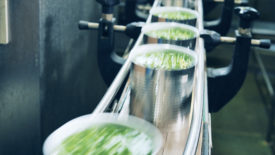 A row of unsealed cans with green peas moving along the belt.