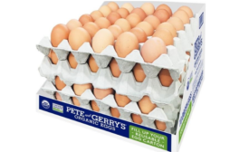 Reusable Egg Carton Is Made from Recycled Materials